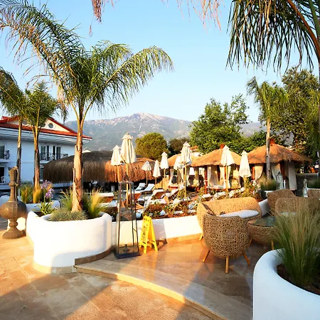 Hotel Pinehill Hotel&suites 3*