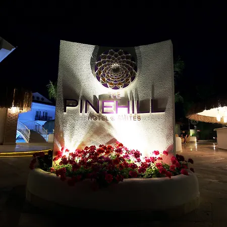Pinehill Hotel&suites 3* Ölüdeniz