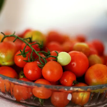 Pinehill & Ölüdeniz