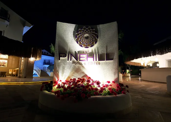 Pinehill Hotel&suites 3* Öludeniz