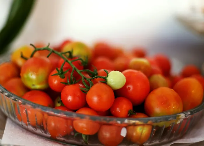 Pinehill Hotel&suites Öludeniz